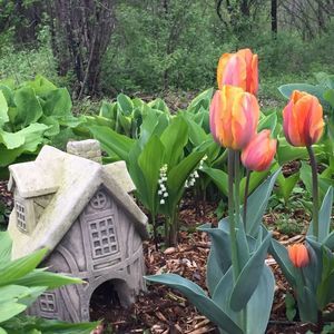 Meet your Posher, Gunnison